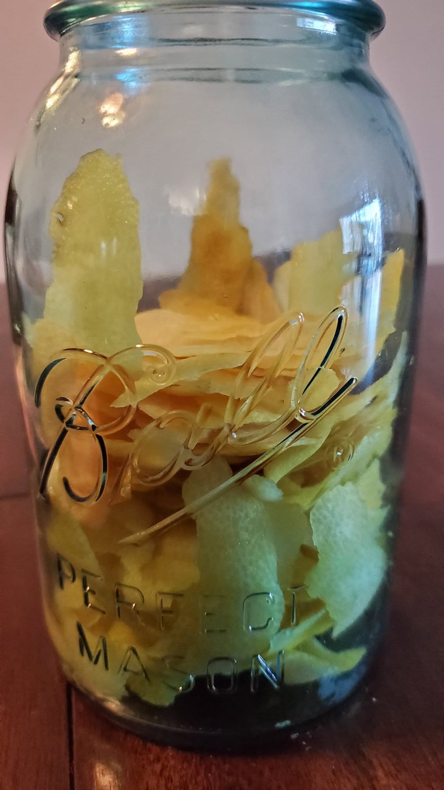 A Ball Perfect Mason jar packed with strips of lemon zest steeping in clear spirit, the liquid already tinted yellow.